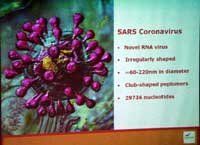 SARS�E�B���X�O��